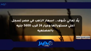 يلّا تعالى شوف.. أسعار الذهب في مصر تسجل أعلى مستوياتها وعيار 24 قرب 5600 جنيه بالمصنعية